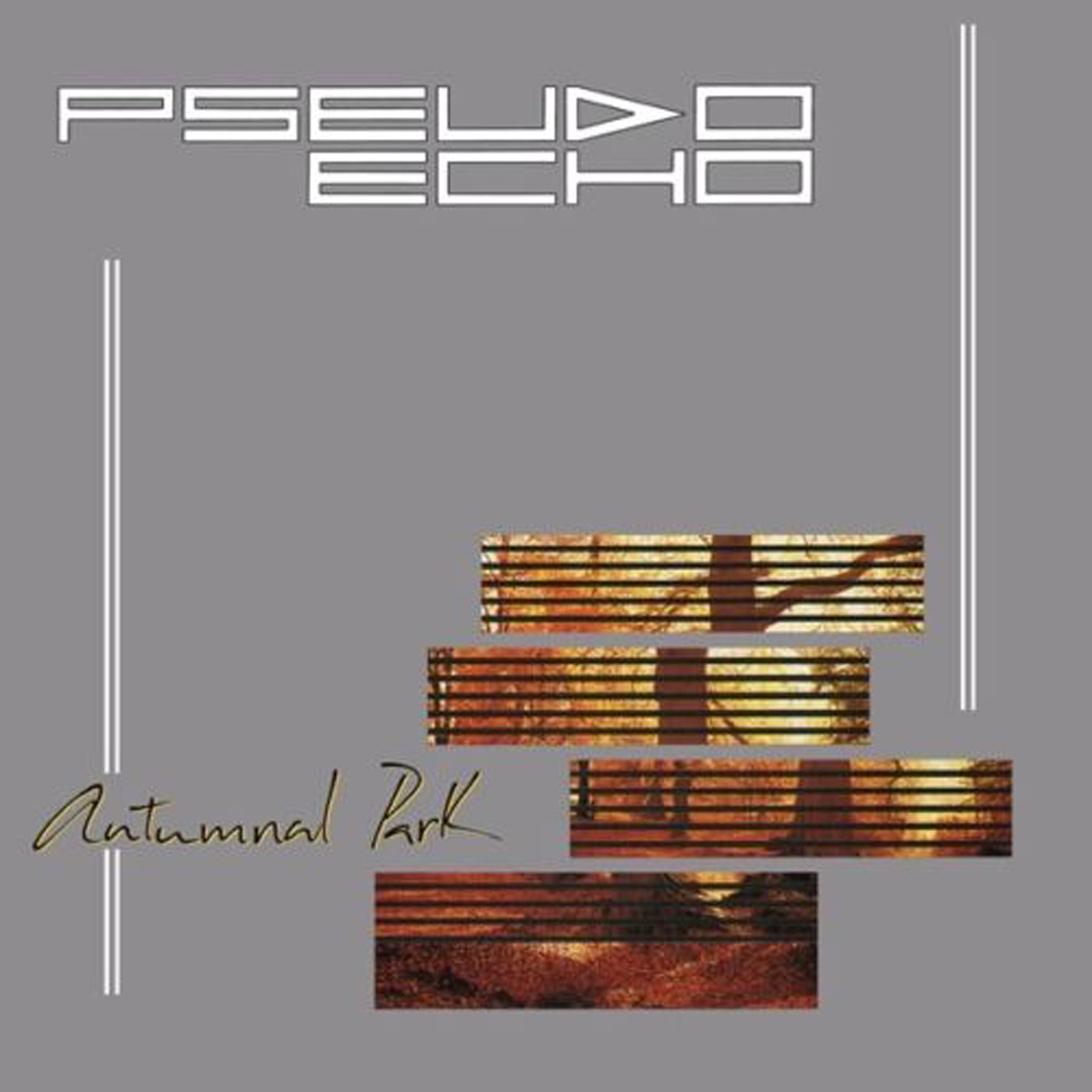 Pseudo Echo