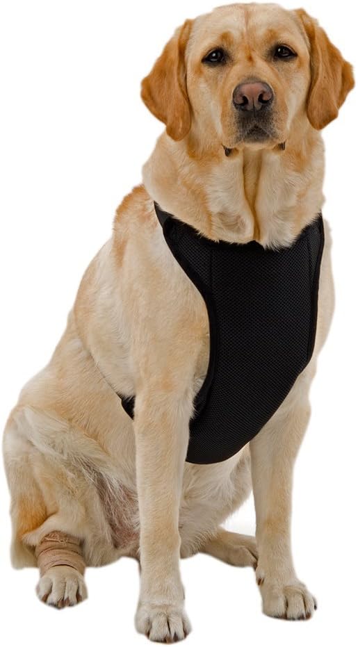 Warming/Cooling Dog Harness, Adjustable Neck, Medium, Black