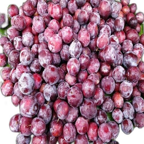100pcs red Phalsa Fruit Seeds