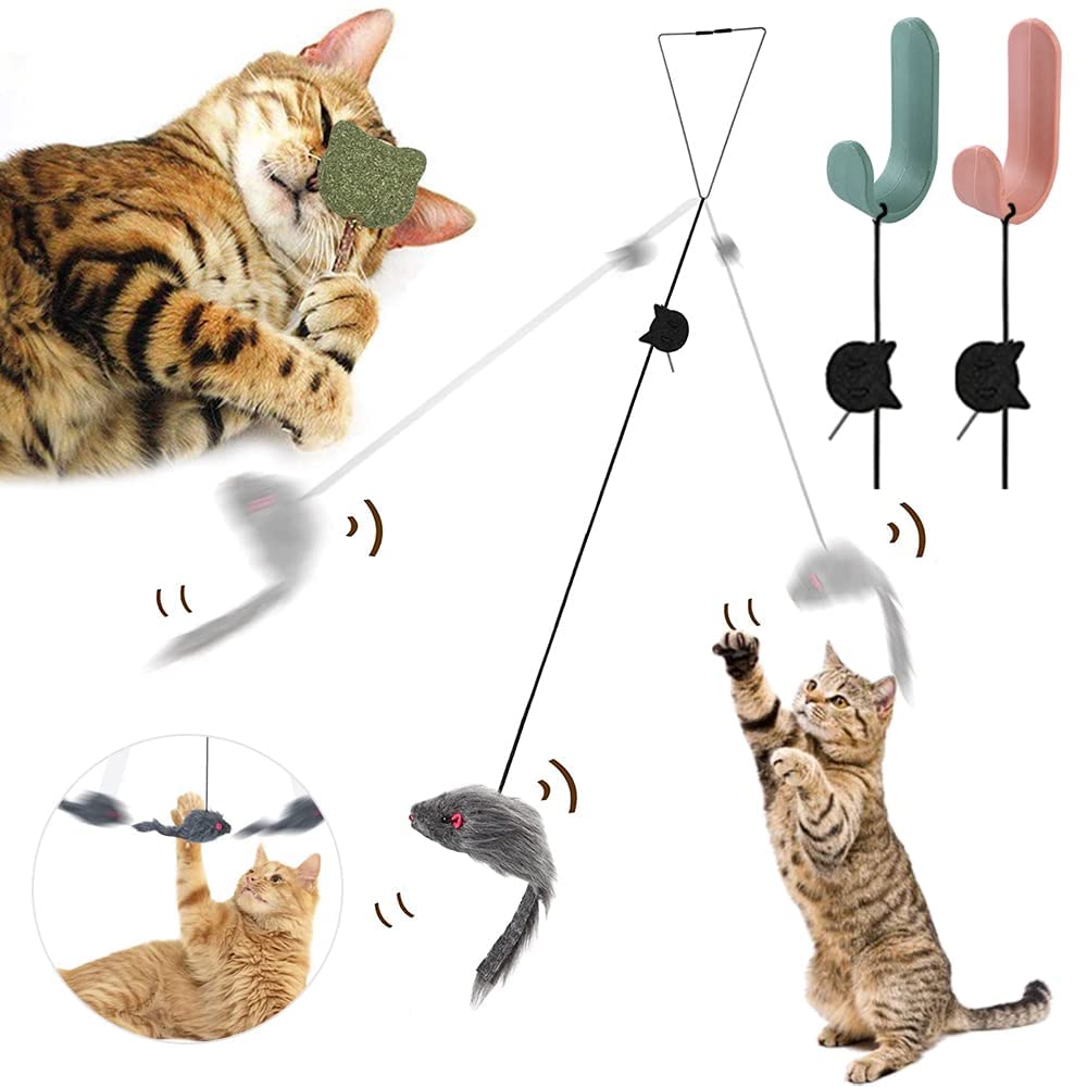 Hanging cat toy for door frame, 2 in 1 interactive cat toy, interactive cat toy with suction cups