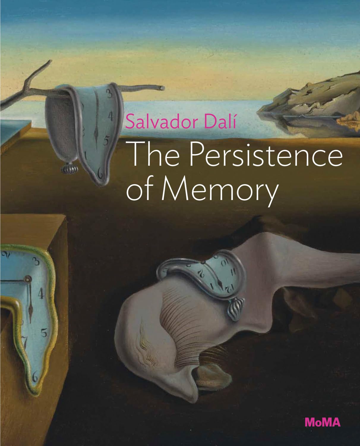 Salvador Dalí: The Persistence of Memory: MoMA One on One Series