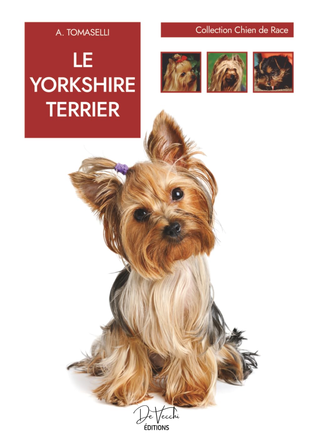Le Yorkshire Terrier: caractère, éducation, toilettage et soins au quotidien
