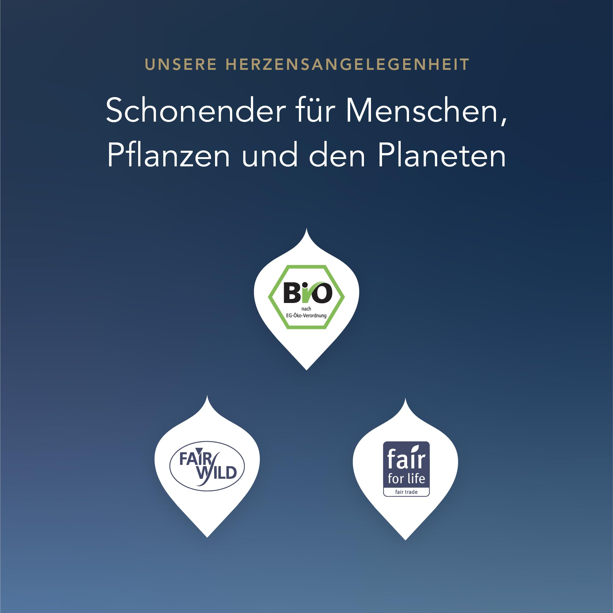 Pukka Bio Tee Geschenkset, 90 Teebeutel, Premium Selection Tee Box für den ganzen Tag, für Küche, Büro & Gastronomie, Tee Set, Geschenkidee, 6 Varianten