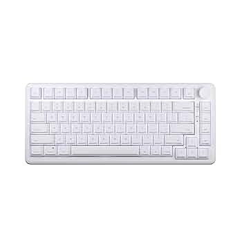 aim1 瞬　ラピッドトリガーキーボード 61gYStPN4bL._UF350,350_QL50_.jpg