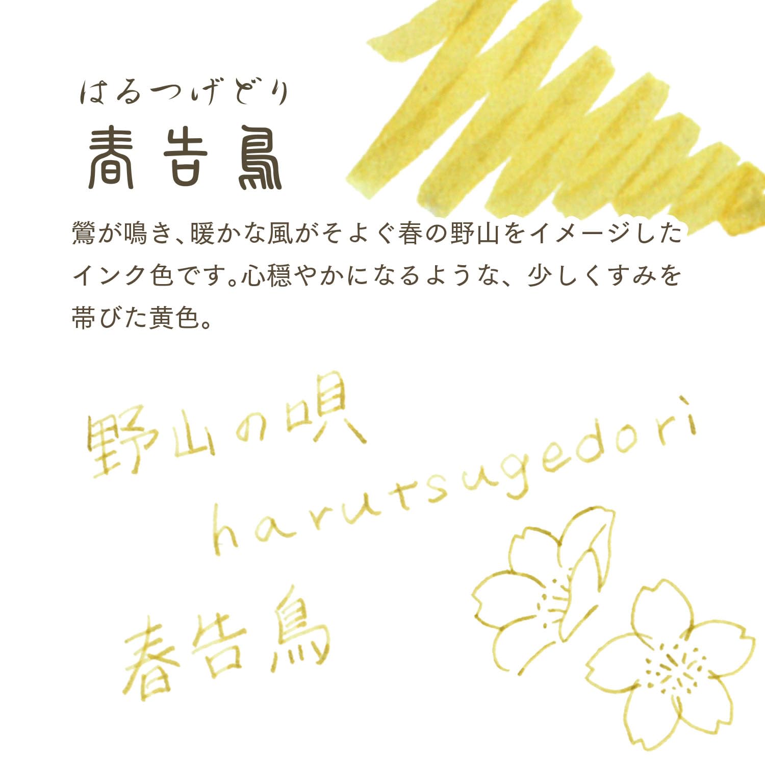Amazon.com : SHIKIORI 13-1008-237 Sailor Fountain Pen Bottled Ink