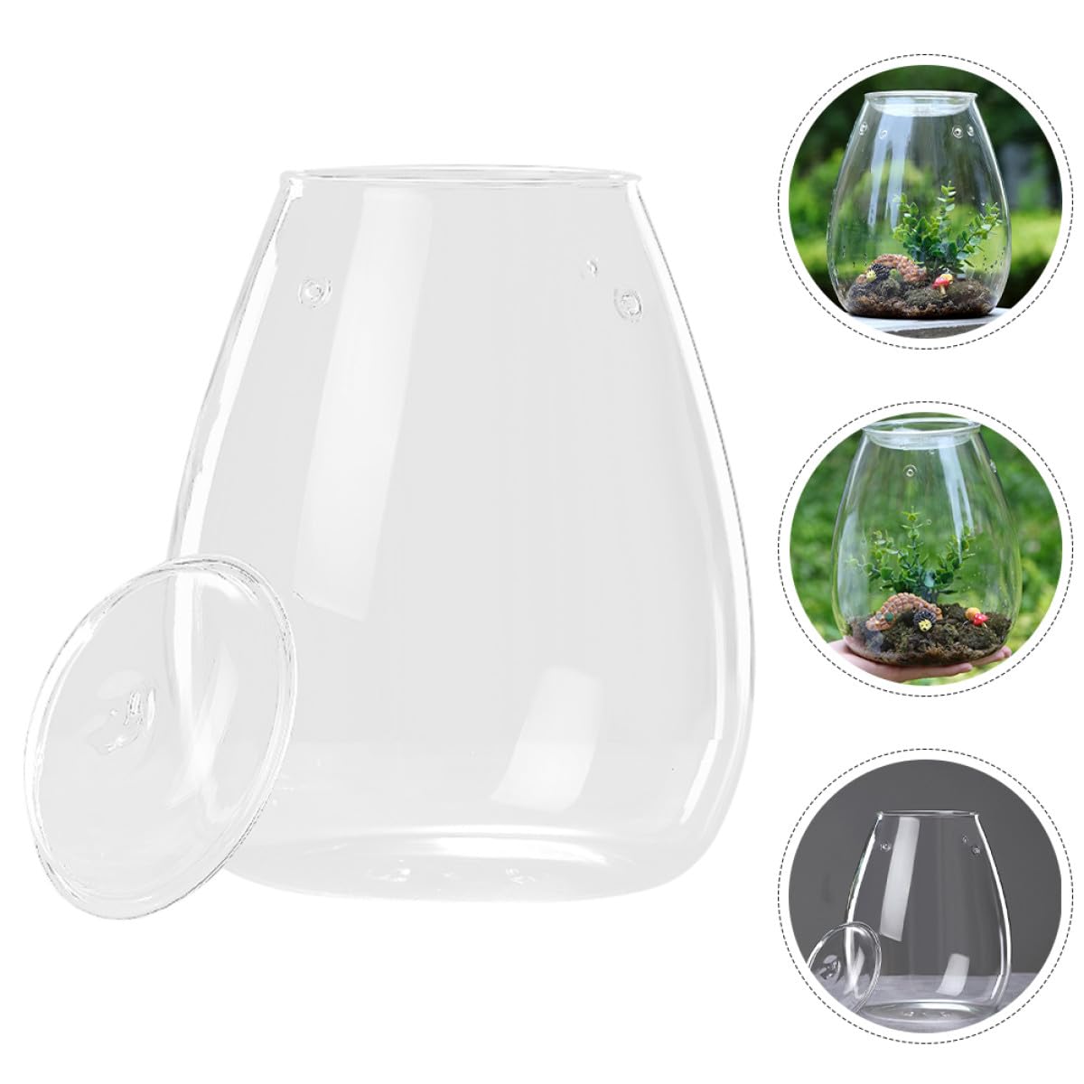 OSALADI Terrarium Glasflasche Ökologische Pflanzflasche Mikrolandschaft Selbstgemacht Behälter für Moos Pflanzen Wohndeko Wohnzimmer Büro