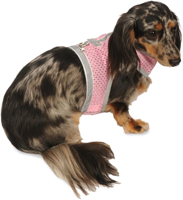 My Canine Kids Athletic Mesh Dog Harness for Teacup