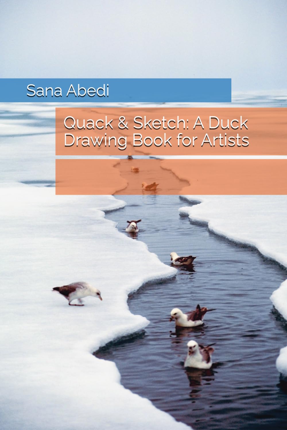 Quack & Sketch: A Duck Drawing Book for Artists