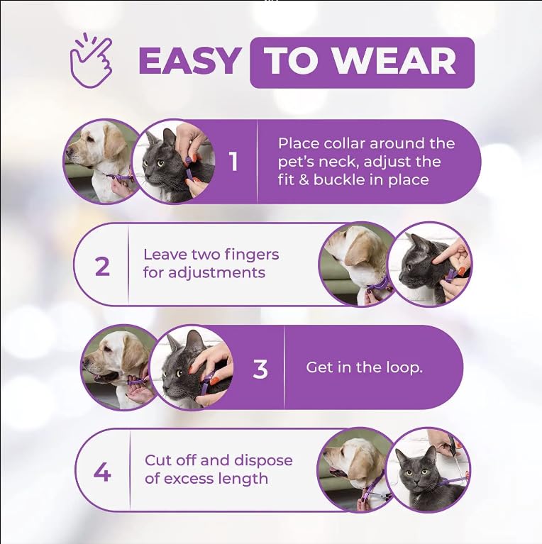 Calming Collar for Cats, Long-Lasting Pheromone Collar Helps for 60 Days, Designed to Reduce Stress and Anxiety, Helps Cats and Kittens Calm, Loud Noises, and Separation, 2 Count - image 2
