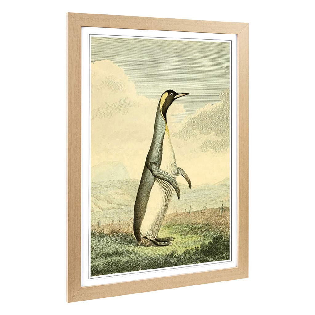Big Box Art Framed Print of Vintage Charles R Ryley Penguin Design | Wall Art Picture | Home Decor for Kitchen, Living Room, Bedroom, Hallway, Oak, A2 / 24.5x18 Inch / 62x45cm