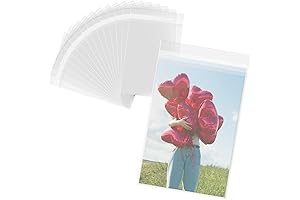 Mat Board Center Resealable Plastic Sleeves for 4x6 Prints