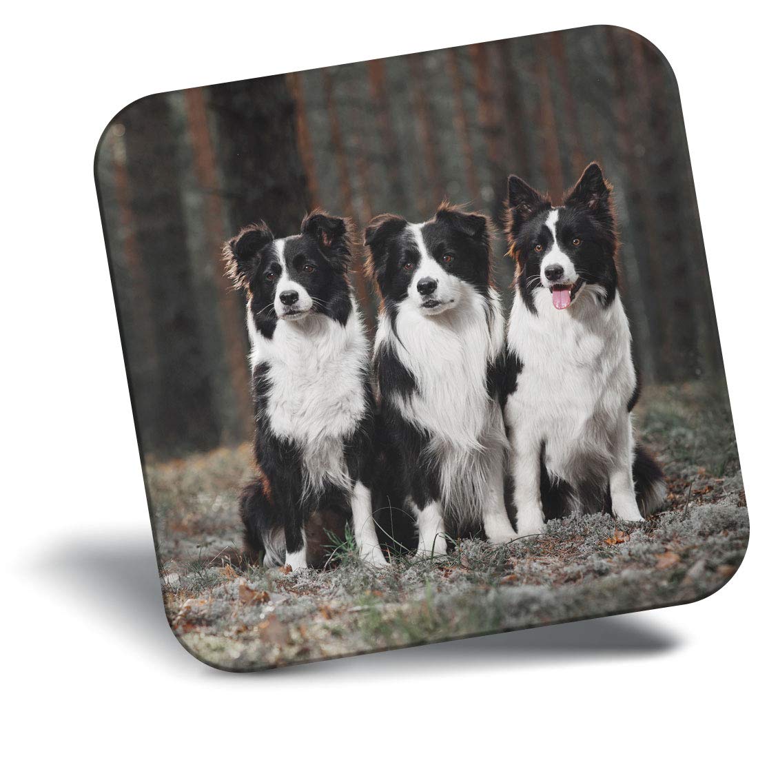 Destination Vinyl ltd Fridge Magnet - Border Collie Dogs Dog Farmer 21277