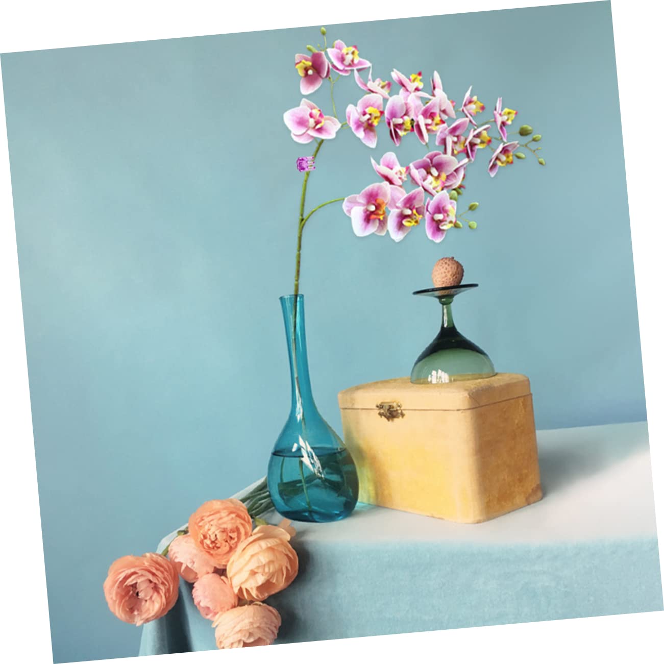 Gatuida 10 Ensembles Agrafe D'orchidée Clip De Support pour Plantes Grimpantes Clips De Support pour Plantes Piquets De Support pour Plantes Propagation Clips De Jardinage 120 Pièces * 10