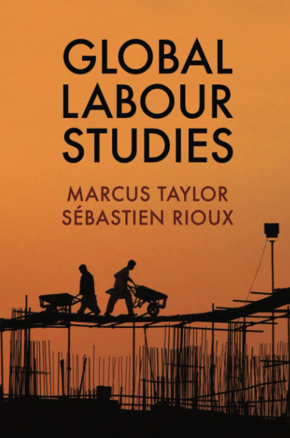 Global Labour Studies (Work & Society)
