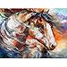 Westland Giftware Canvas Wall Art, Painted Wind Equine, 12 by 16