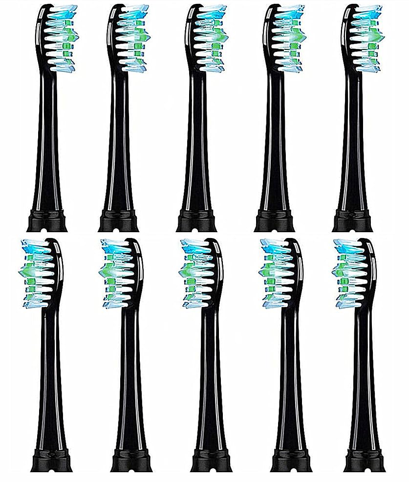 Replacement Toothbrush Heads Compatible with Hyslor Clean1000/2000/ Air Clean 1, 10 Pack Black