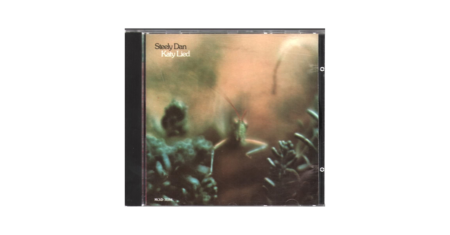 スティーリー•ダン Katy Lied アナログ国内盤 Amazon.com: Katy Lied: CDs & Vinyl