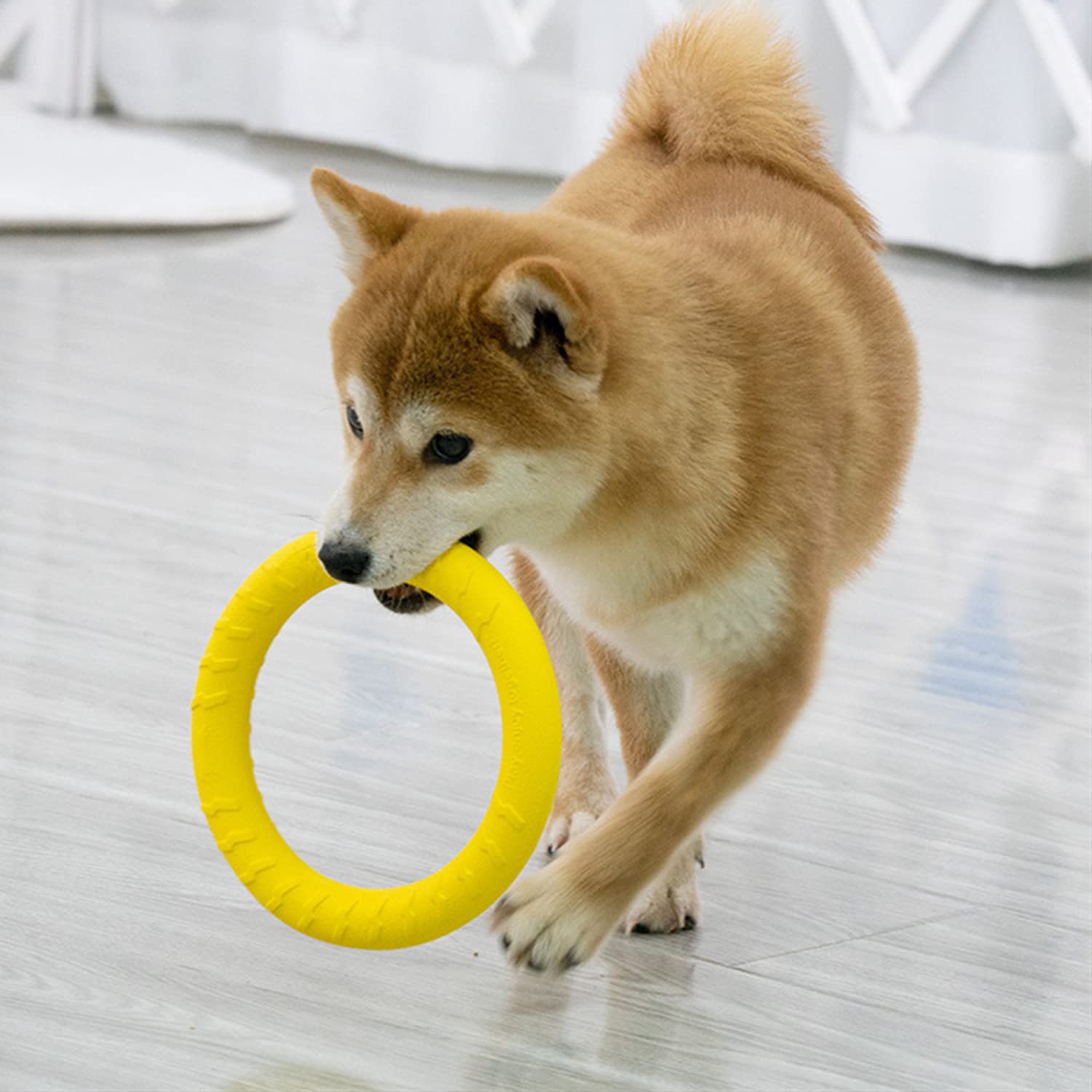 Schwimmendes Hundespielzeug für Hunde, unzerstörbares Kauspielzeug für kleine Kauer, Hundespielzeug für Pool, schwimmend, langlebig, für drinnen und draußen, zum Werfen, Fangen, Schwimmen,