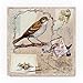 Natural Bliss Birds Tan by Sher Sester, 24x24-Inch Canvas Wall Art
