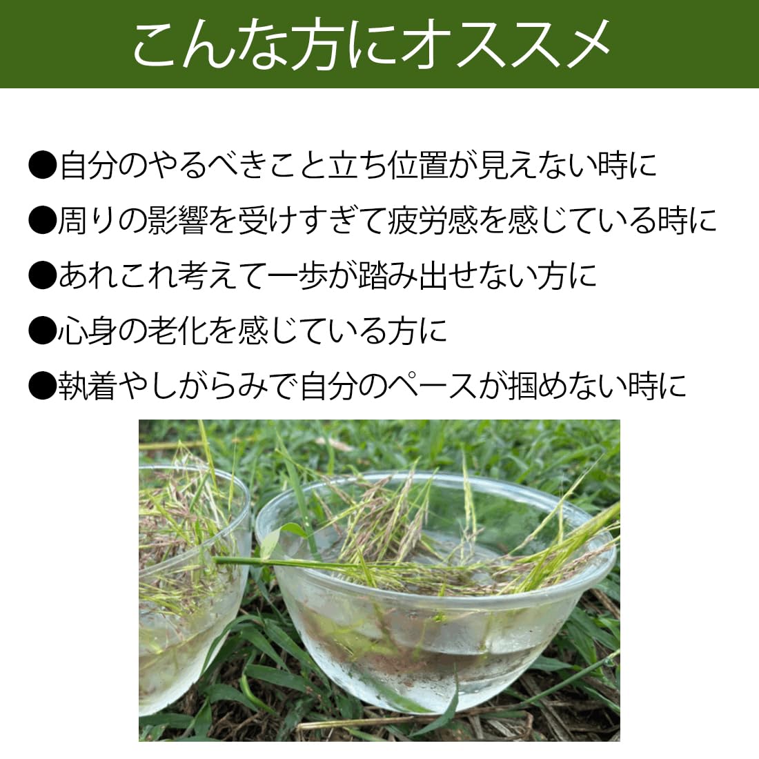 Amazon.co.jp: シャンドゥルール 真菰 フラワーエッセンス マコモ 神の