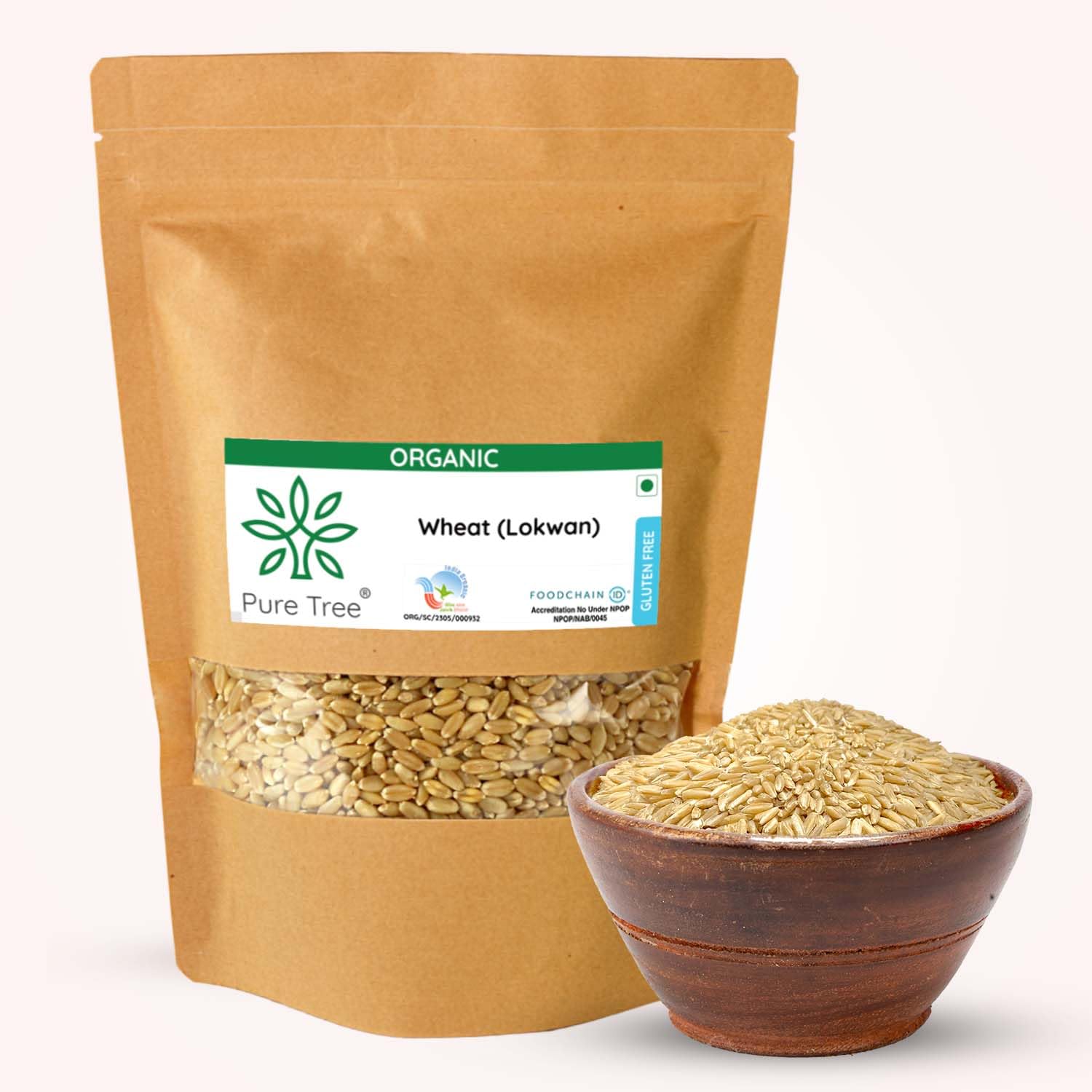 Pure Tree Certified Organic Lokwan Whole Wheat | 1.8 Kg / 1800 g | Golden Grain | Gehu Thick and Heavy Whole Wheat Grain For Chapatti, Roti & Paratha