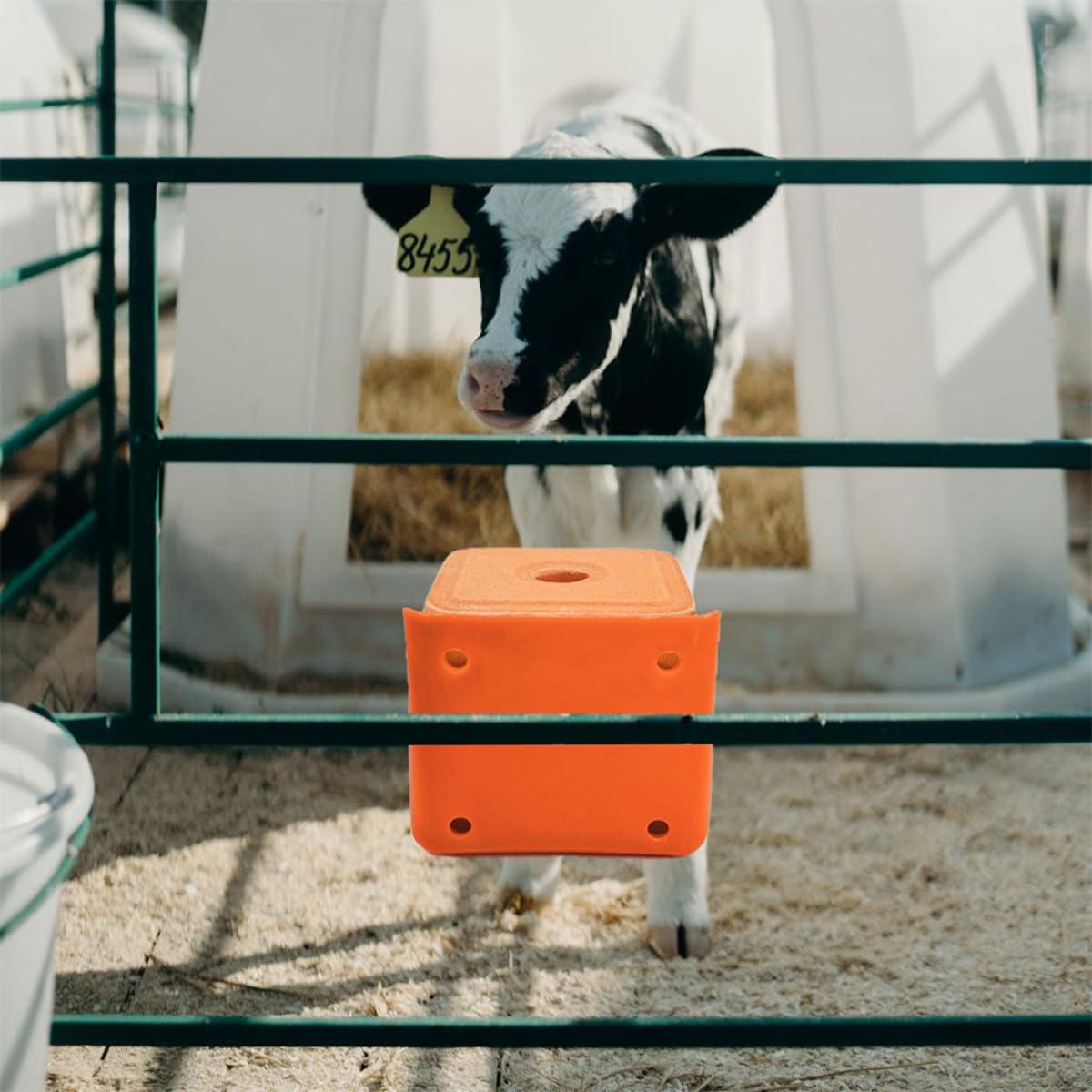 Artibetter Distributeur de Sel pour Moutons et Bétail 2 Pièces en Pe Épaissi, Support Robuste Cylindrique pour Bloc Minéral, pour Élevage Agricole Style Aléatoire
