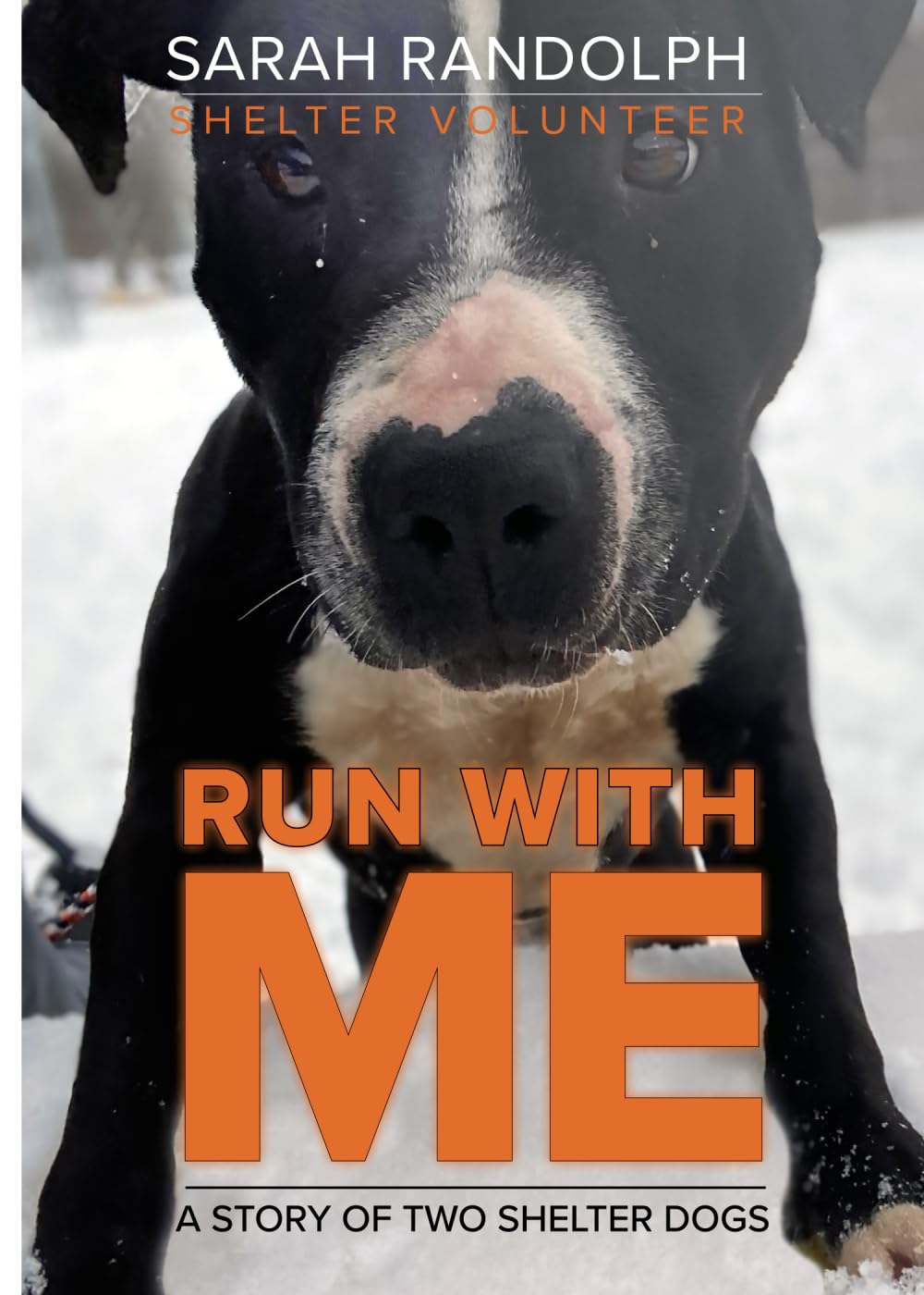 Run With Me: A story of two shelter dogs