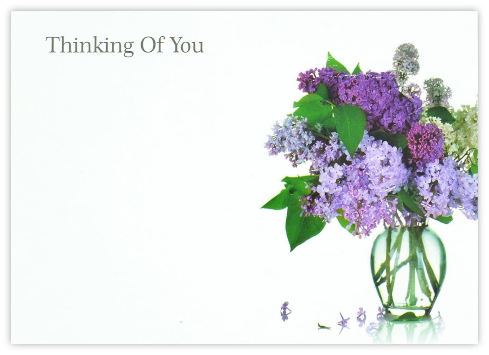 celloexpress Thinking of You (Lilacs) Flower Message Cards - 90mm x 125mm - Bereavement Florist Card Sympathy Condolences Notes (Pack of 24)