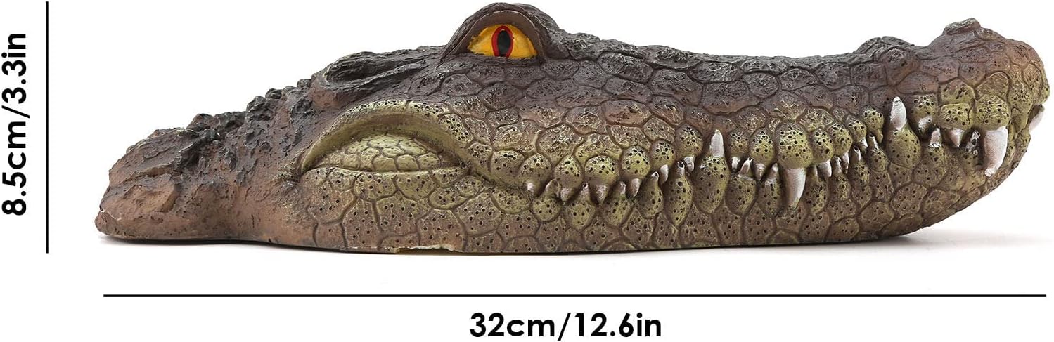 Tête de crocodile flottante - Vue 1