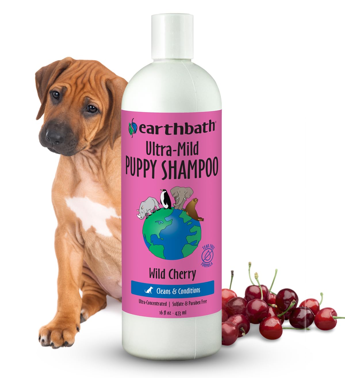 earthbath Wild Cherry