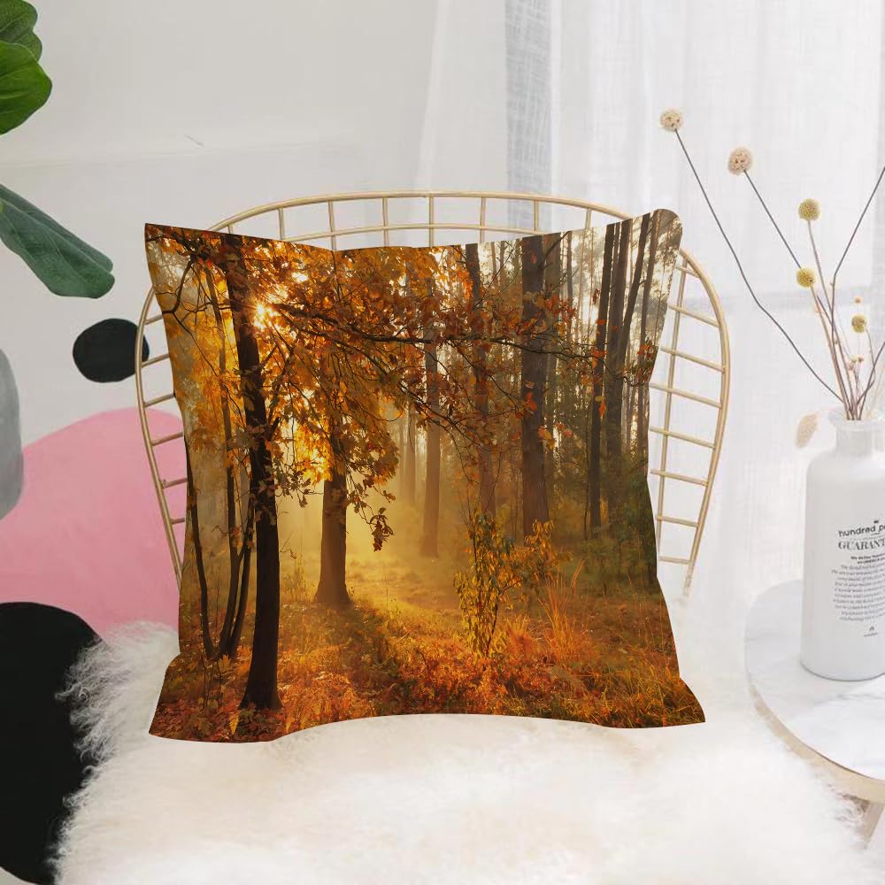 HYOSXW Cushion Cover,Throw Pillow Case Home Decorative for Living Room Bedroom Sofa Chair 16X16 Inch,Forest, autumn leaves forest in the warm morning light,Pillowcase 40X40cm
