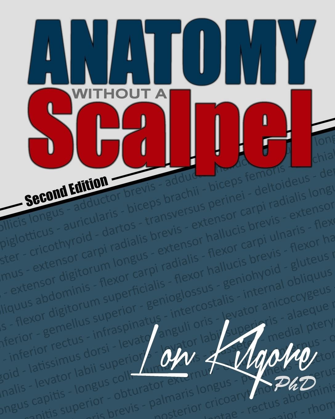 Anatomy Without a Scalpel - Second Edition