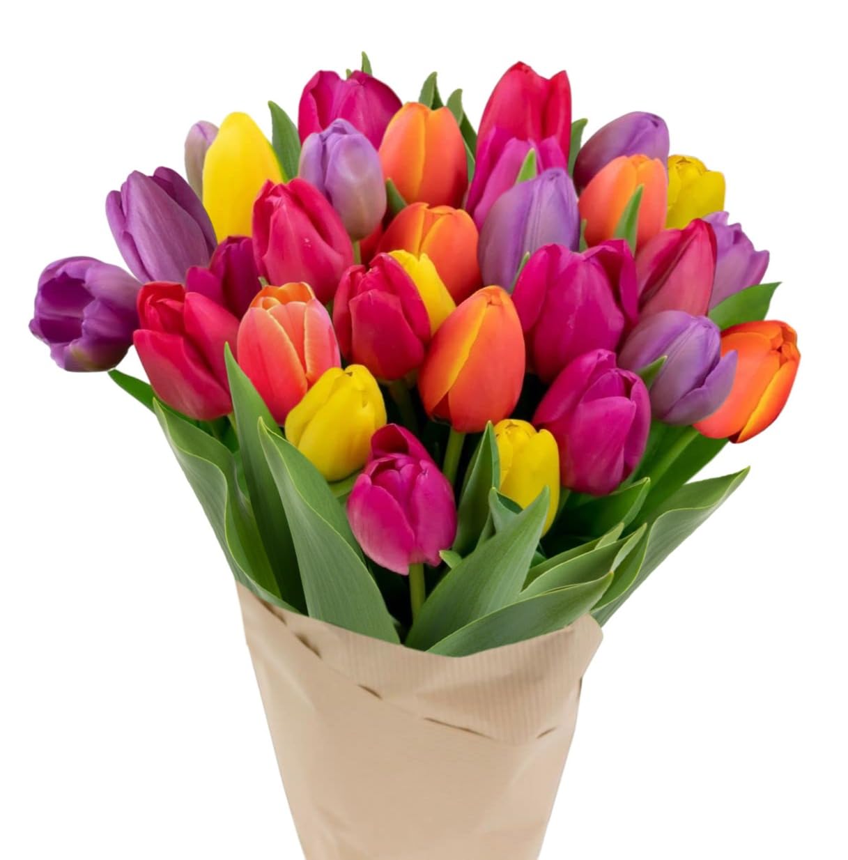 Stargazer Barn Rainbow Tulips