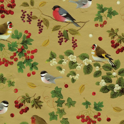 Caspari Entertaining Continuous Gift Wrapping Paper, Winter Birds Gold, 8-Feet, 1-Roll,Multi