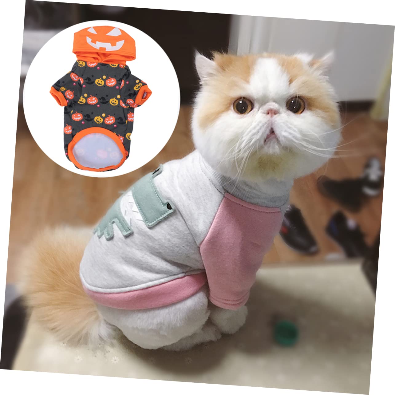 HMJGDHX 2 Pezzi Cappotto per Abbigliamento per Costumi per Animali Domestici per Halloween Cosplay Vestiti di Zucca per Cani Orecchie per Cani per Giacca per Cuccioli