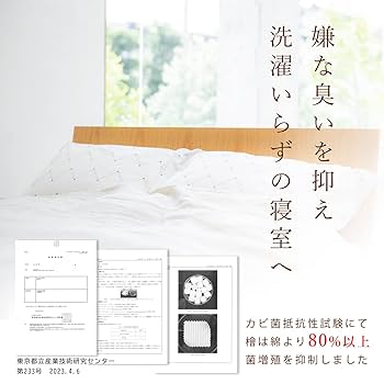 reliqua odore ひのき専門店の土佐ヒノキ枕 Amazon｜reliqua odore ひのき専門店の土佐ヒノキ枕 環境省認可