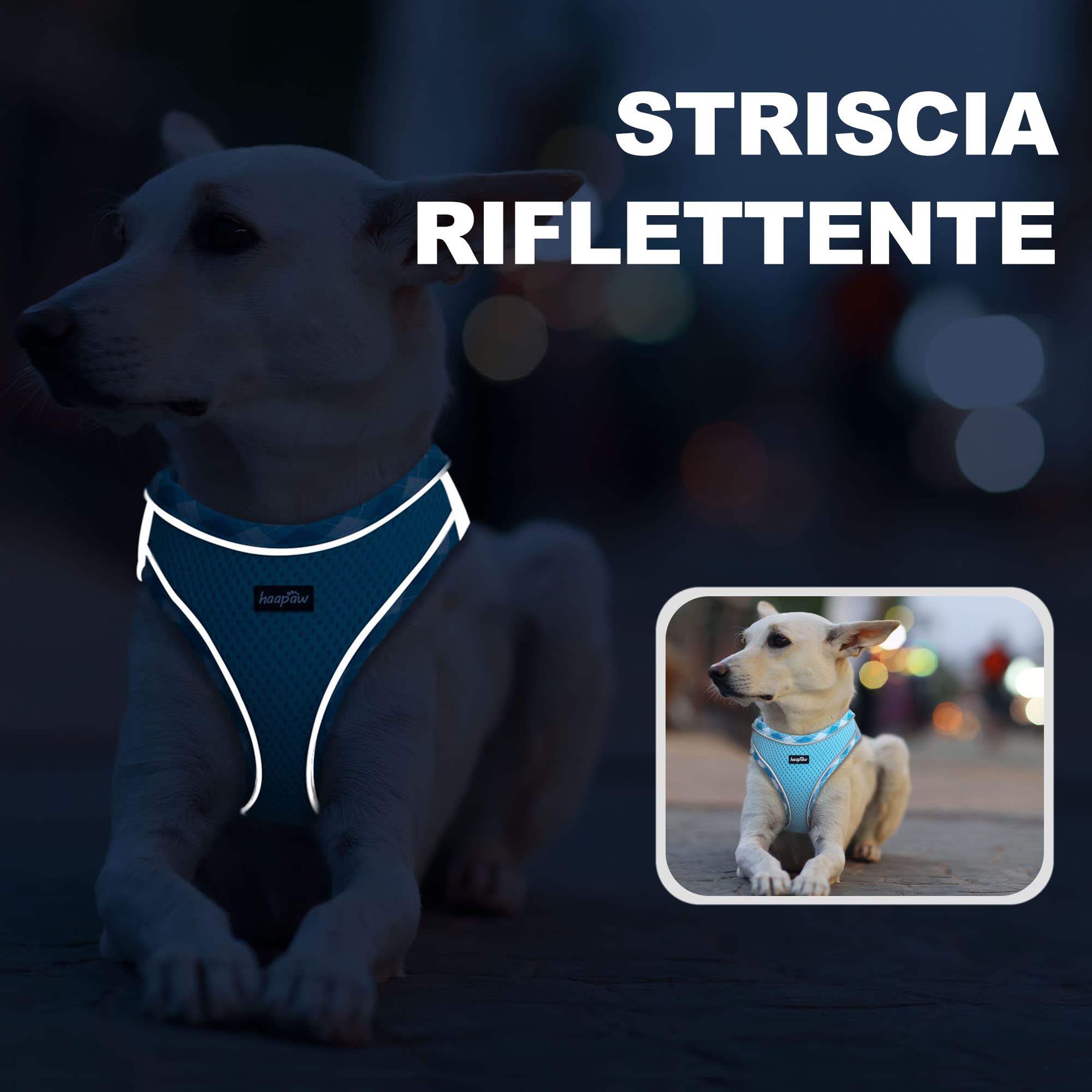 haapaw Pettorina per cani e guinzaglio, senza tirare, regolabile, riflettente Step-in, pettorina imbottita ispessita, per cani extra piccoli/piccoli e medi