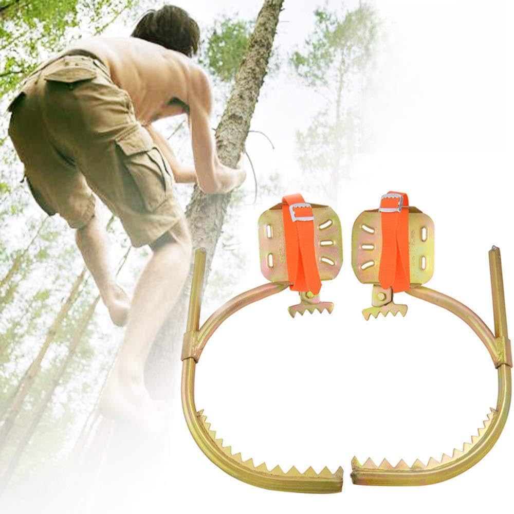 Climbing Tree Spikes, Electrician Climbing Trees Foot Buckle, Tree Climbing Gear for Tree Work, Durable, Suitable for Hunting and Observation, Fruit Picking.,350model
