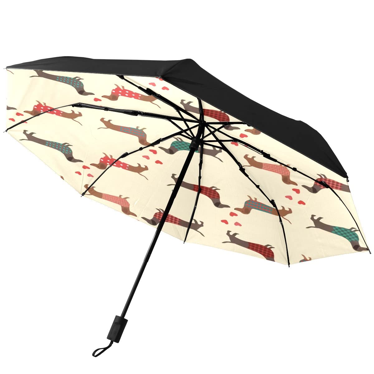 GISPOG Automatic Folding Umbrella, Dachshunds Hearts Love Waterproof Compact Sun and Rain Travel Umbrellas