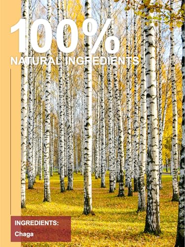 Image of TeeLux Chaga Tea Bags, Pure Chaga Mushroom Tea, Caffeine Free, 100 Count | Natural Chaga Herbal Tea with Smooth & Mild Flavor, Hot or Iced
