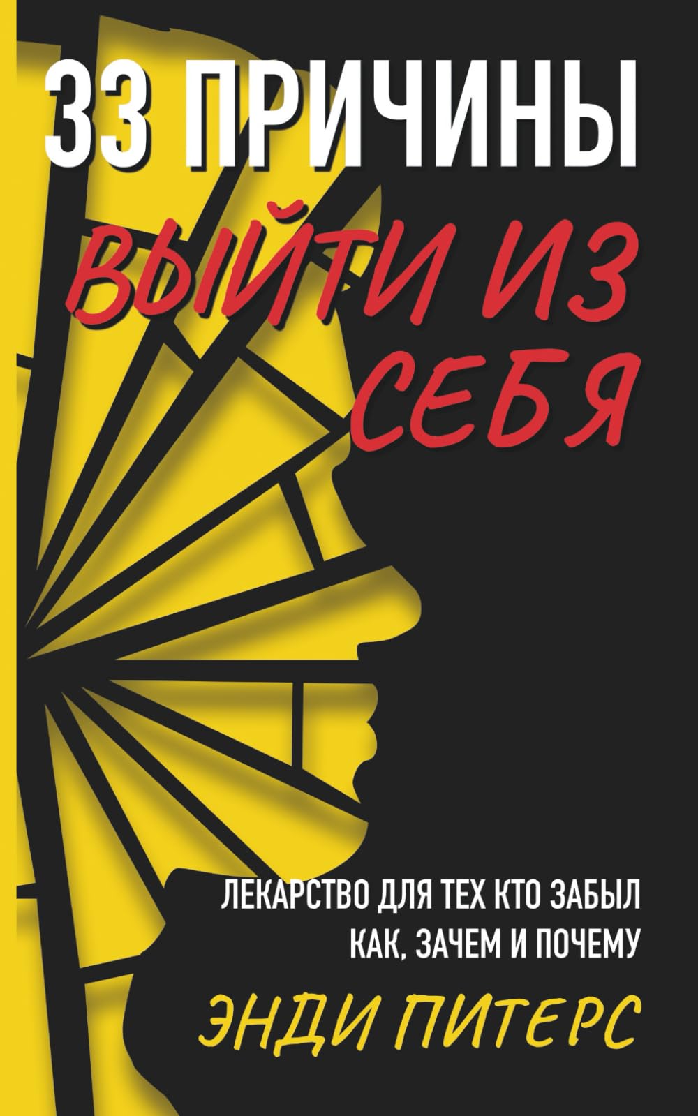 33 ПРИЧИНЫ ВЫЙТИ ИЗ СЕБЯ: ЛЕКАРСТВО ДЛЯ ТЕХ КТО ЗАБЫЛ КАК, ЗАЧЕМ И ПОЧЕМУ