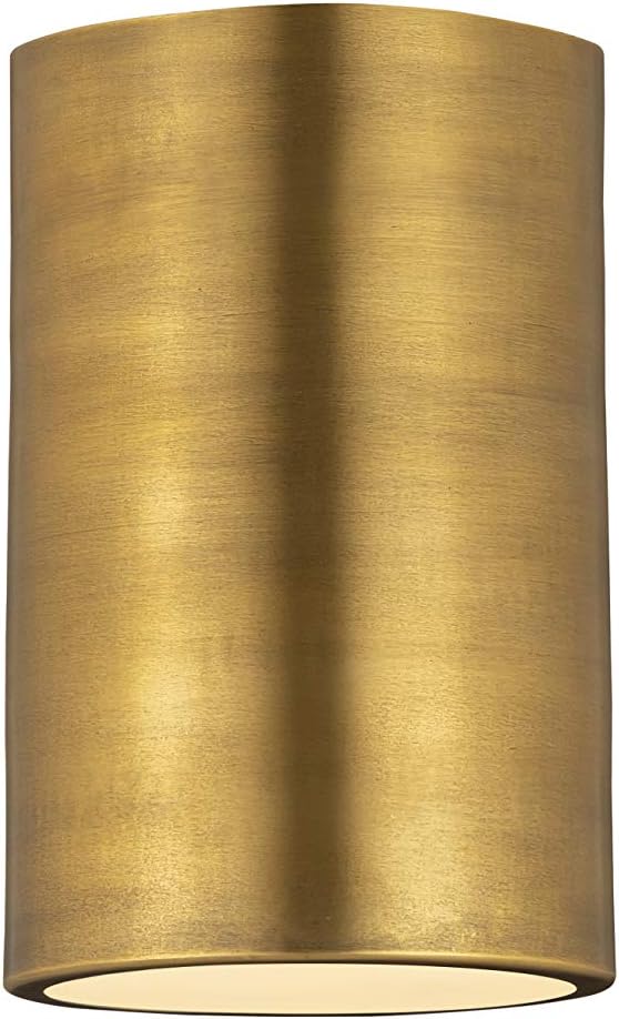 Z-Lite 1 Light Flush Mount 2302F1-RB