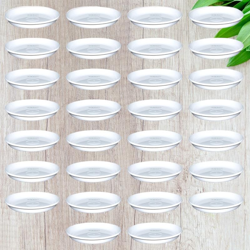 RGDECOR Set of 30-6 Inches - White Pot Plates for Plants - Flower Pot Base Plate - Bottom Tray for Flower Pots Tray - Bottom Plate for Pots - Plant Pot Tray - Planter Plate - Plant Saucer Plate (B0BPTRZTGB) Amazon Price History, Amazon Price Tracker