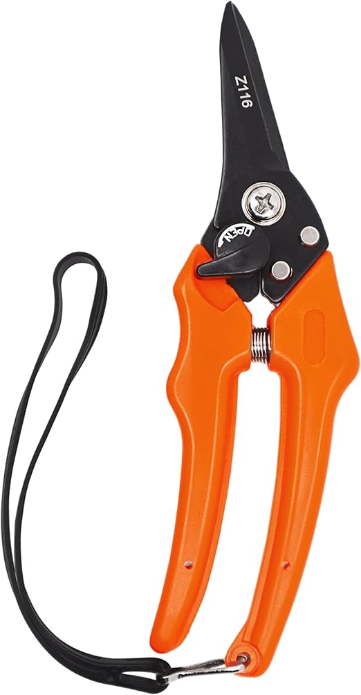 Zenport Z116 Hoof and Floral Trimming Shear with Twin-Blade, 7.5-Inch Box of 10