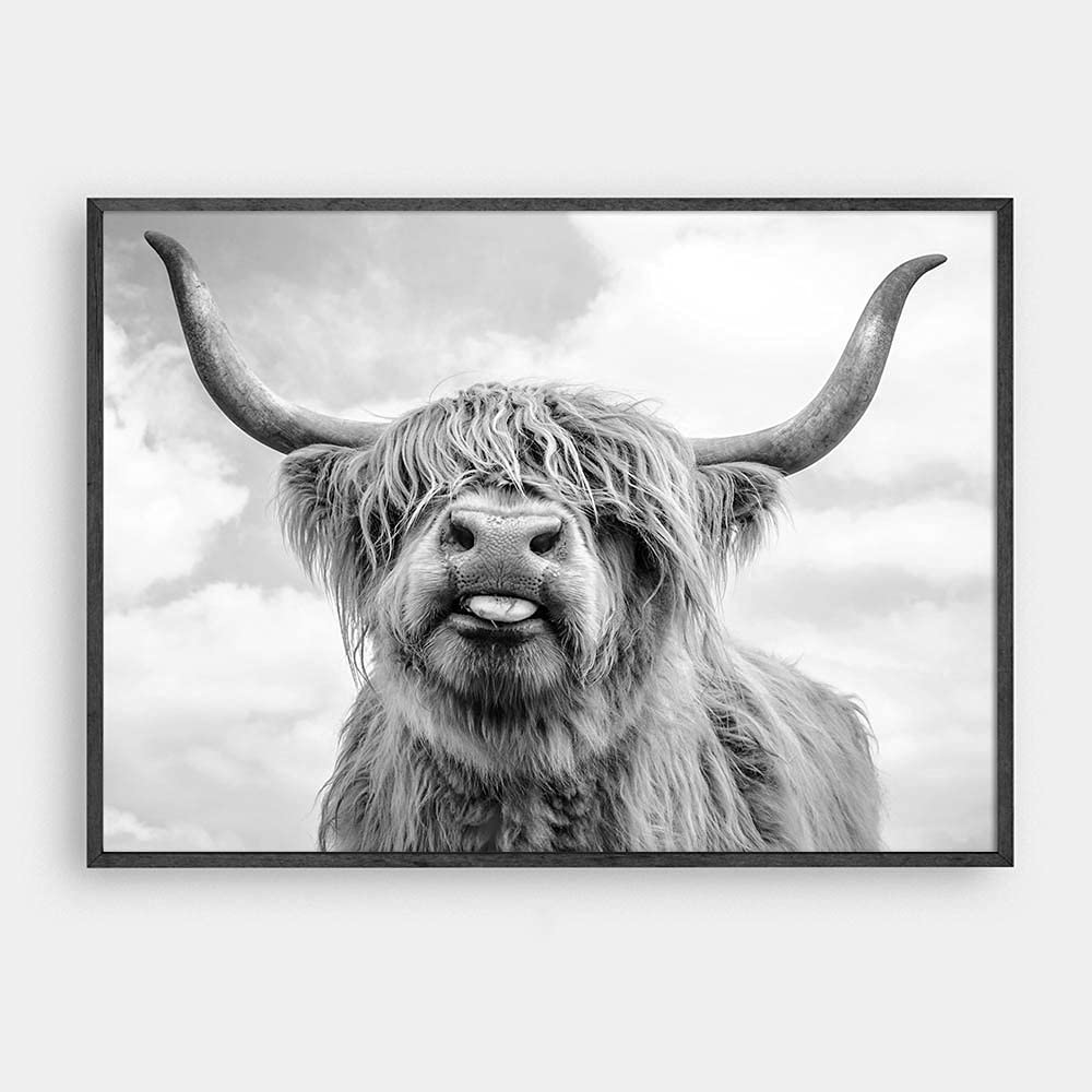 Shukqueen Paint by Numbers Highland Cow for Adults, Beginner, Canvas Painting for Wall Decor, 24x30 Inch, Frameless