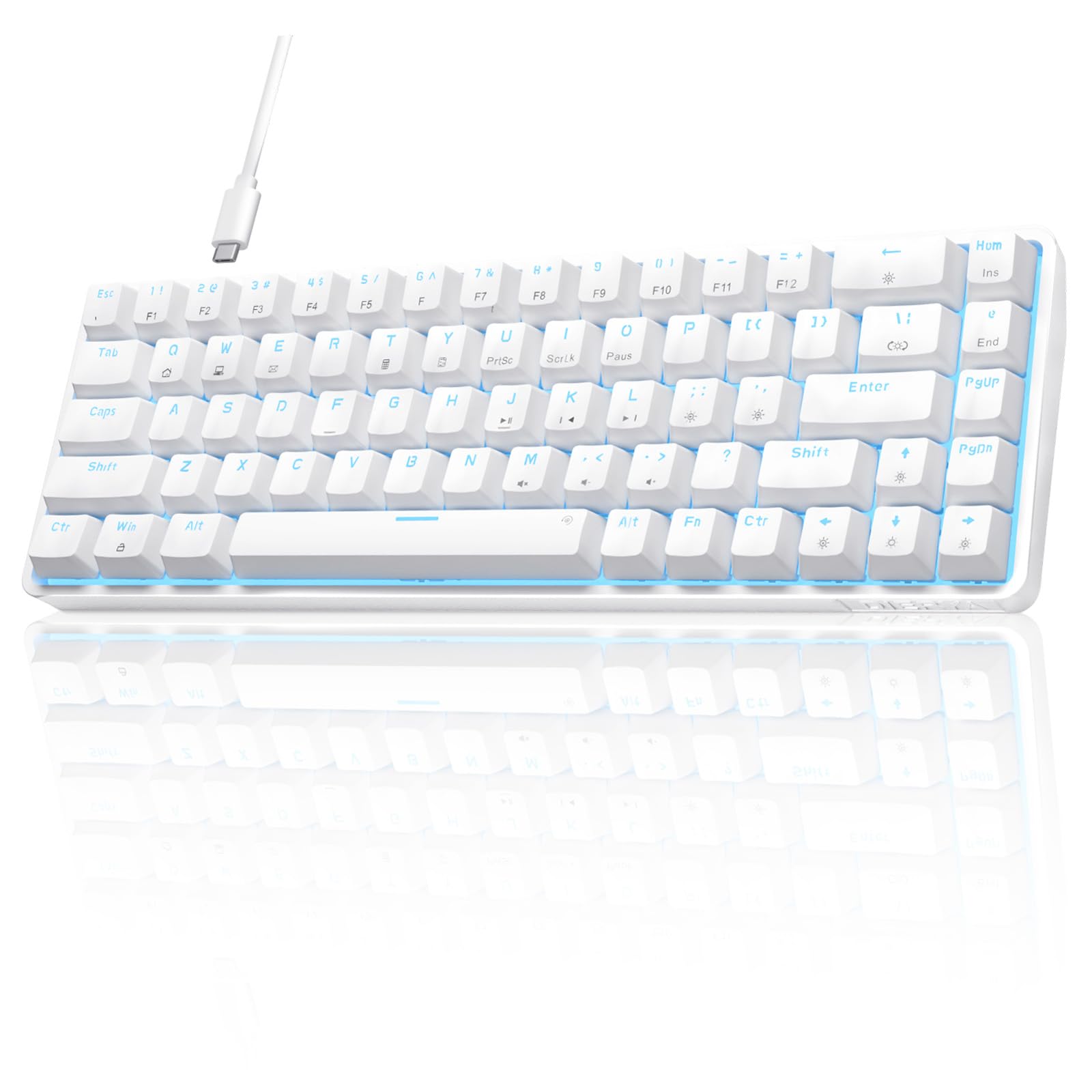 DIERYA DK68SE 60% Gaming Mechanical Keyboard,Ultra Compact Mini 68 Key with Red Switches Wired Keyboard,Anti-Ghosting Keys, for Windows Laptops and PC Gamers,White Red Switch White