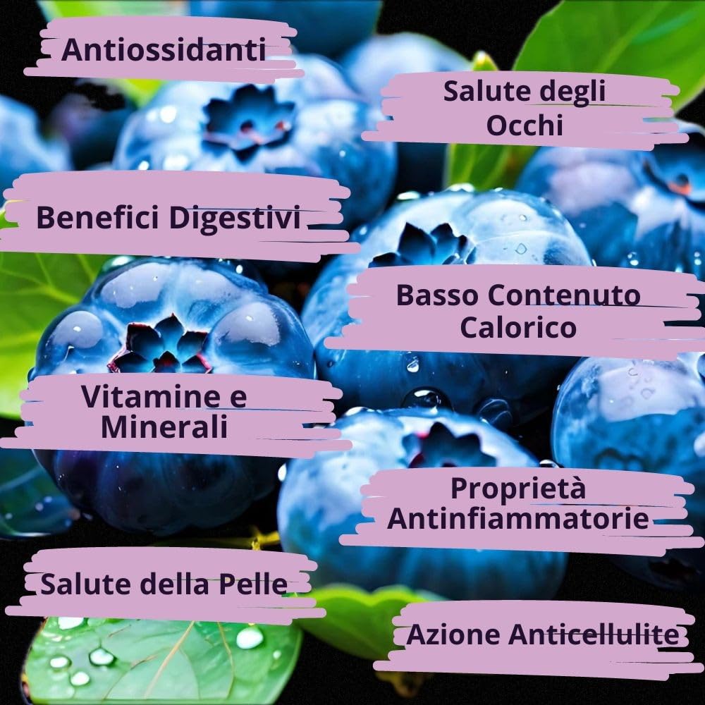 Succo di Mirtillo Nero Selvatico, 100% puro, denso, in Bag in Box da 2 Litri, senza aggiunta di acqua, zuccheri e conservanti - Origine Svedese - Paracelsus.Farm
