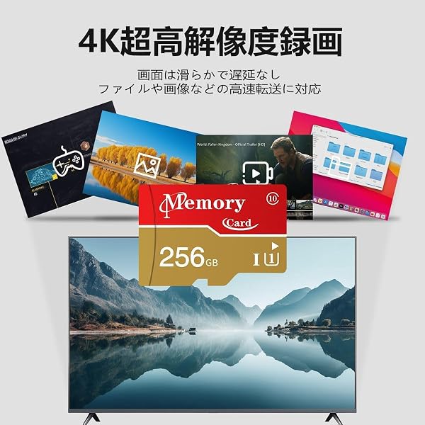 マイクロカード メモリーカード 256GB Full HD & 4K UHD動画 対応 TFカード 超高速データ転送 交換アダプター付き - 5