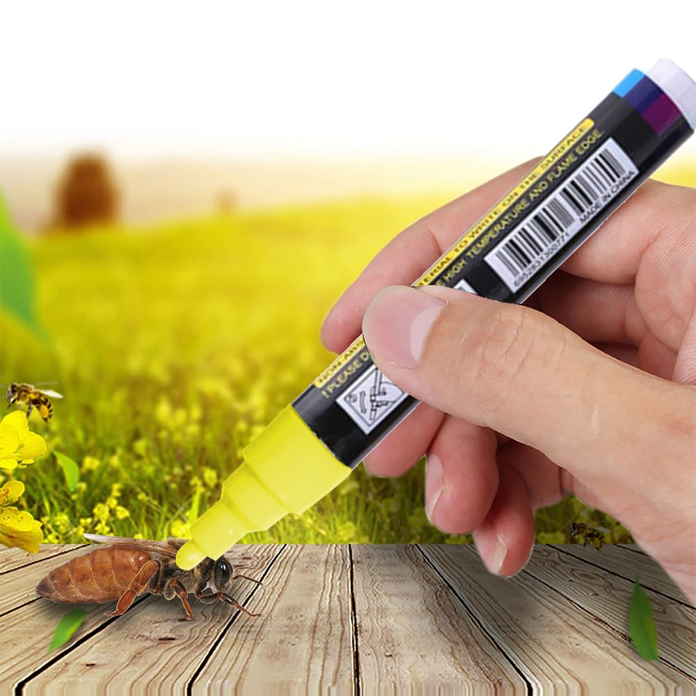 ULIFEME Pennarelli A Vernice Acrilica, 12 Colori Permanenti Pittura Arte Pennarello Set Di Penne