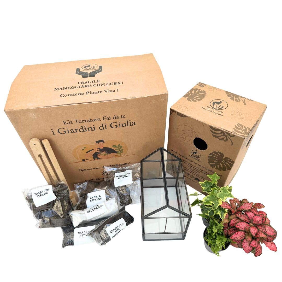 Kit Terrarium Fai-da-Te | Vetro e Ferro Robusto | Include 3 Piantine e Decorazioni | Terrario per Piante in Vetro | Dimensioni Compatte, Nero e Trasparente